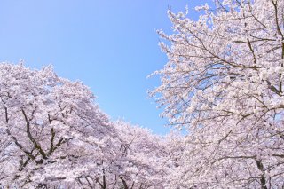 これでよかった（写真:iStock）