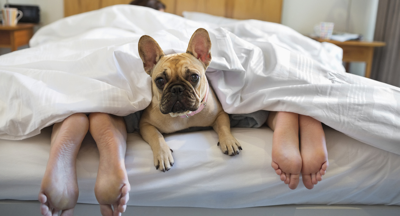 嬉しいの？（写真:iStock）