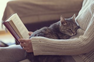 （写真:iStock）
