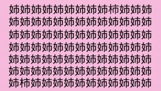 【女偏の漢字探し】「姉」の中に隠れた二つの文字は？（難易度★★★★★）