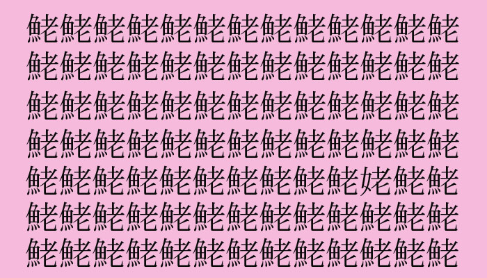（C）コクハク