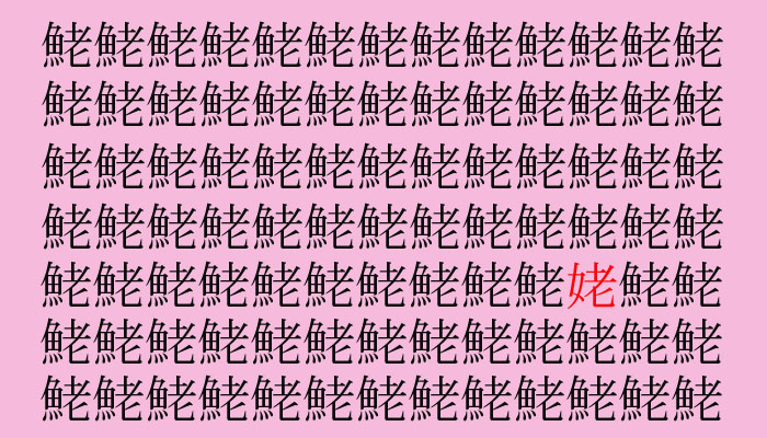 （C）コクハク