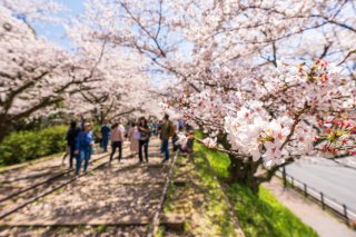 上半期“ママ友界隈”のびっくりエピソード。パンツ見えそうなミニスカにヒヤヒヤ…！【お花見編】