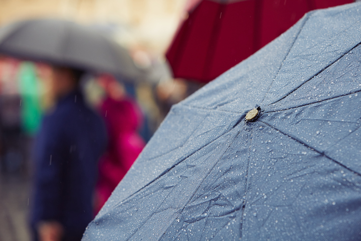 （写真:iStock）