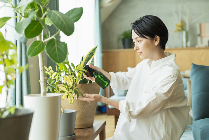 素敵な一日になりますように（写真:iStock）