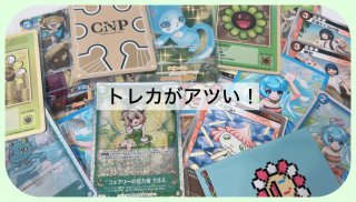 ポケモンカードは“億越え”も!? 最新「トレカ事情」に驚愕。発掘したドンキーコングは一体いくらになる？