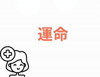 （C）コクハク