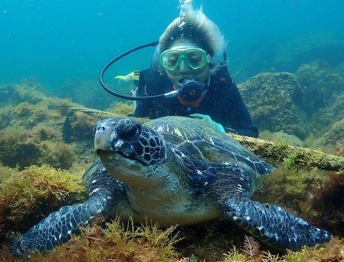 すいません、ここ竜宮城ですよね？（写真:新井見枝香／無断転載禁止）