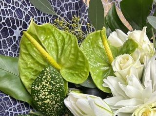 夏は無いと困る！って平社員がいつも叫んどる byさぶ店長／無断転載禁止（C）コクハク