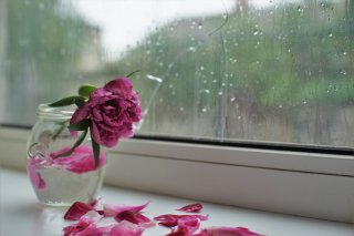 最後の輝くエネルギーを…（写真:iStock）