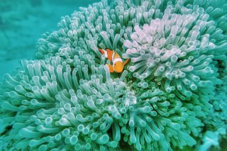 共に支え合って生きている（写真:iStock）