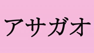 （C）コクハク