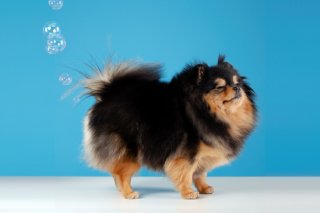 おなら、でちゃった…（写真:iStock）