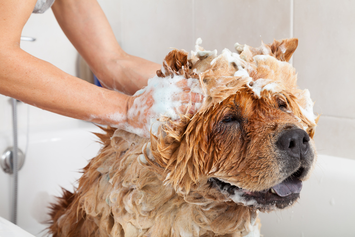気持ちいい～♡（写真:iStock）