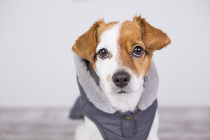 似合う？（写真:iStock）