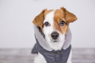 似合う？（写真:iStock）