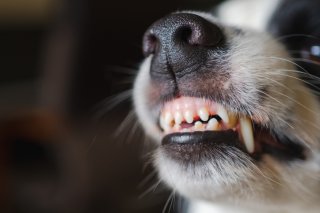 前の彼女には…（写真:iStock）