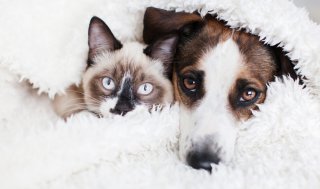 タオルありがとう（写真:iStock）