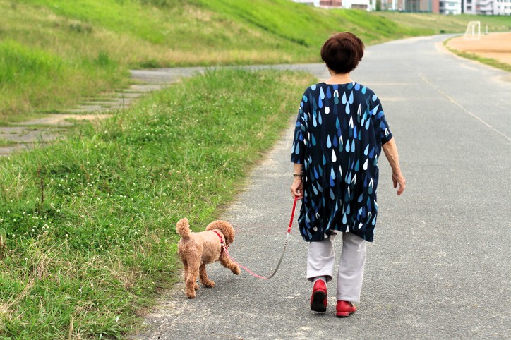 （写真:iStock）