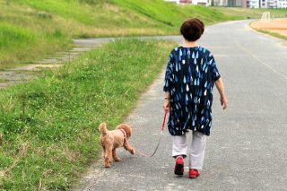 （写真:iStock）
