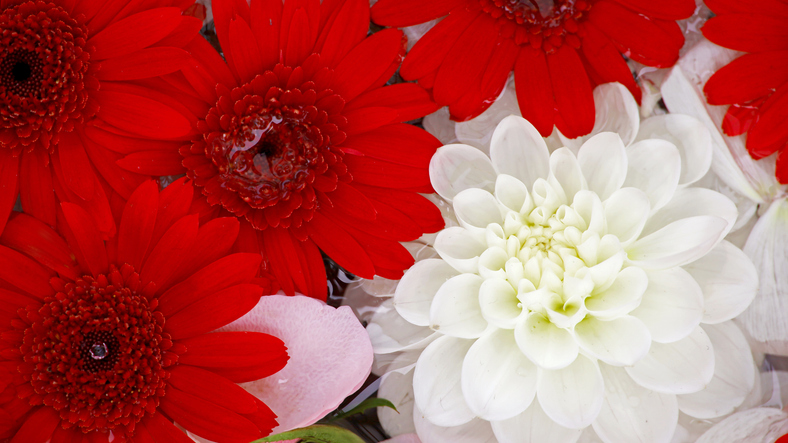 最強の組み合わせ？（写真:iStock）