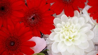 最強の組み合わせ？（写真:iStock）