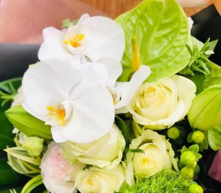 白い花は見ているだけでも心が洗われるわ〜汚れてるから、私　by平社員／無断転載禁止（C）コクハク