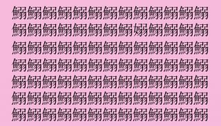 【漢字探し】「鰯（イワシ）」の中に隠れた一文字は？（難易度★★★☆☆）