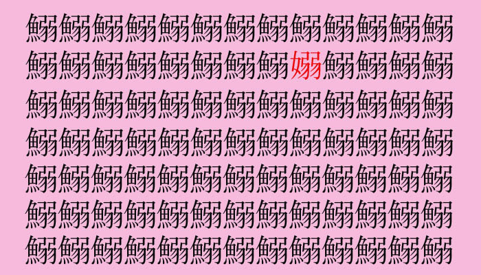 （C）コクハク