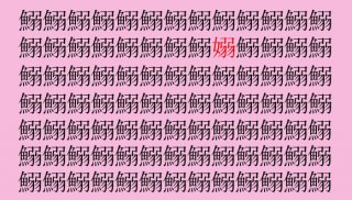 （C）コクハク