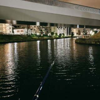 釣りが上手な人は大体かっこいい。(写真:新井見枝香/無断転載禁止)