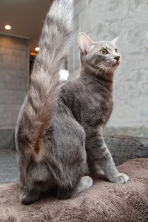 （写真:芳澤ルミ子）