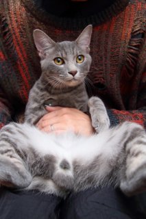 （写真:芳澤ルミ子）