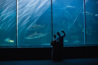 水族館で恋人気分を味わい（写真:iStock）