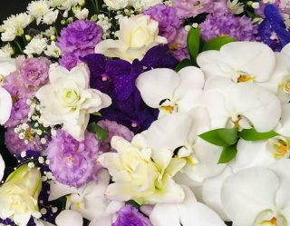 棺花はこんな感じやね　byさぶ店長／無断転載禁止（C）コクハク