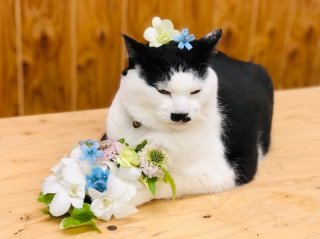 今日も泣きながらお店に来たお客さんがおったわ…byさぶ店長／無断転載禁止（C）コクハク