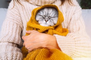 猫とコタツに勝るものある？ 私の年末年始“最高の過ごし方”６つのケース。彼氏ナシでも幸せすぎ
