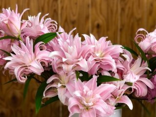 ／無断転載禁止（C）コクハク