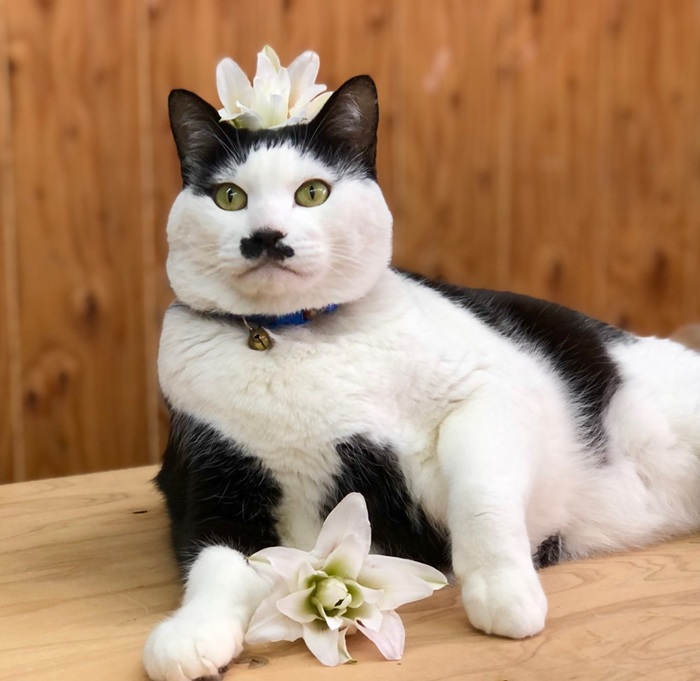 正月にゴハン爆食してしもうた　byさぶ店長　