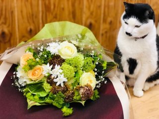 最近神経痛が痛すぎて注射したらメッチャ楽　byさぶ店長／無断転載禁止（C）コクハク