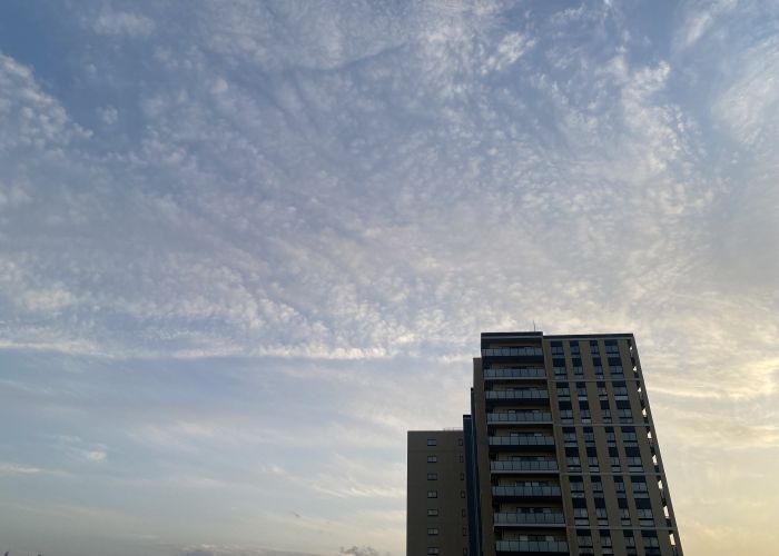 （著者撮影／無断転載禁止）