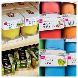 ダイソーで驚嘆の叫び　（300円でも許す）　by平社員　／無断転載禁止（C）コクハク