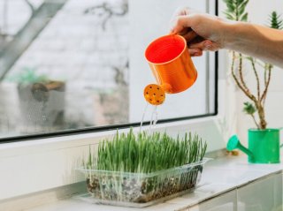 心の拠り所に（写真:iStock）