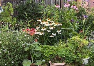 体にもよくて癒される／無断転載禁止（C）コクハク