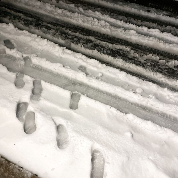 積雪に残された足跡。（写真:新井見枝香／無断転載禁止）