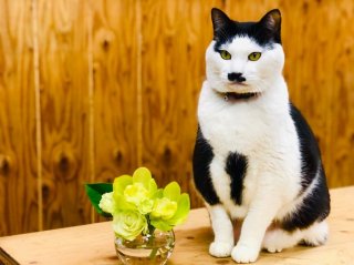 みんな花飾ってな　byさぶ店長／無断転載禁止（C）コクハク