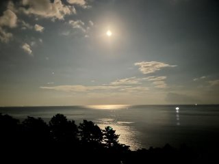 はつ